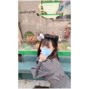 ヒメ日記 2025/03/14 14:59 投稿 まぼろし ていくぷらいど.学園