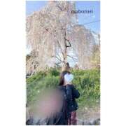 ヒメ日記 2025/04/04 22:27 投稿 まぼろし ていくぷらいど.学園