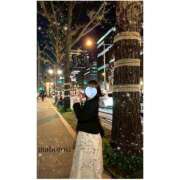 ヒメ日記 2025/04/08 16:14 投稿 まぼろし ていくぷらいど.学園