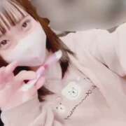 ヒメ日記 2025/04/16 07:45 投稿 まぼろし ていくぷらいど.学園