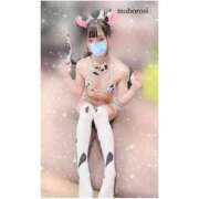 ヒメ日記 2025/05/15 00:31 投稿 まぼろし ていくぷらいど.学園