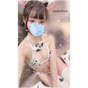 ヒメ日記 2025/05/16 07:30 投稿 まぼろし ていくぷらいど.学園