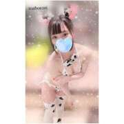 ヒメ日記 2025/05/16 19:03 投稿 まぼろし ていくぷらいど.学園