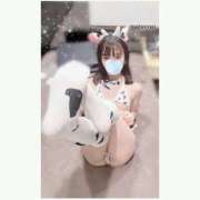 ヒメ日記 2026/10/19 07:15 投稿 まぼろし ていくぷらいど.学園