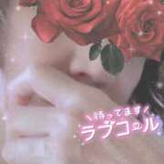 ヒメ日記 2024/12/13 10:00 投稿 りんこ 佐賀人妻デリヘル 「デリ夫人」