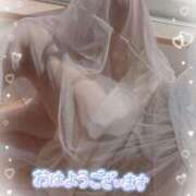 ヒメ日記 2025/01/22 09:00 投稿 りんこ 佐賀人妻デリヘル 「デリ夫人」