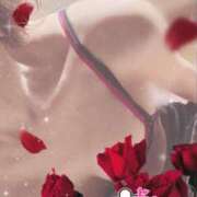 ヒメ日記 2025/03/08 10:15 投稿 りんこ 佐賀人妻デリヘル 「デリ夫人」