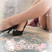 ヒメ日記 2025/04/02 08:30 投稿 りんこ 佐賀人妻デリヘル 「デリ夫人」