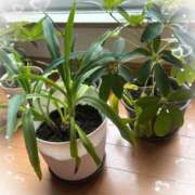 ヒメ日記 2025/10/27 14:00 投稿 りんこ 佐賀人妻デリヘル 「デリ夫人」