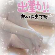 ヒメ日記 2025/11/15 12:01 投稿 りんこ 佐賀人妻デリヘル 「デリ夫人」