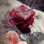 ヒメ日記 2025/11/21 08:15 投稿 りんこ 佐賀人妻デリヘル 「デリ夫人」