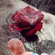 ヒメ日記 2025/11/24 09:31 投稿 りんこ 佐賀人妻デリヘル 「デリ夫人」