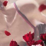 ヒメ日記 2025/12/11 22:30 投稿 りんこ 佐賀人妻デリヘル 「デリ夫人」