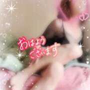 ヒメ日記 2025/12/29 08:07 投稿 りんこ 佐賀人妻デリヘル 「デリ夫人」