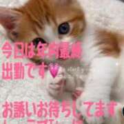 ヒメ日記 2025/12/29 10:06 投稿 りんこ 佐賀人妻デリヘル 「デリ夫人」