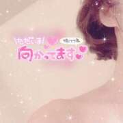 ヒメ日記 2026/01/29 15:13 投稿 りんこ 佐賀人妻デリヘル 「デリ夫人」