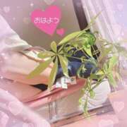 ヒメ日記 2026/02/01 08:04 投稿 りんこ 佐賀人妻デリヘル 「デリ夫人」