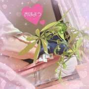 ヒメ日記 2026/02/12 08:12 投稿 りんこ 佐賀人妻デリヘル 「デリ夫人」