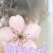 ヒメ日記 2026/02/26 12:09 投稿 りんこ 佐賀人妻デリヘル 「デリ夫人」