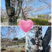 ヒメ日記 2026/03/29 18:59 投稿 りんこ 佐賀人妻デリヘル 「デリ夫人」