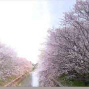 ヒメ日記 2026/04/05 18:21 投稿 りんこ 佐賀人妻デリヘル 「デリ夫人」