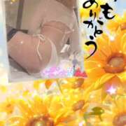 ヒメ日記 2026/06/30 08:20 投稿 りんこ 佐賀人妻デリヘル 「デリ夫人」