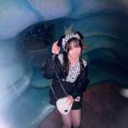 ヒメ日記 2025/04/10 13:01 投稿 るる ANGEL KISS 池袋