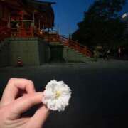 ヒメ日記 2025/04/25 15:00 投稿 るる ANGEL KISS 池袋