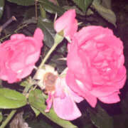 ヒメ日記 2025/05/29 11:02 投稿 るる ANGEL KISS 池袋