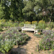 ヒメ日記 2025/07/31 12:45 投稿 るる ANGEL KISS 池袋