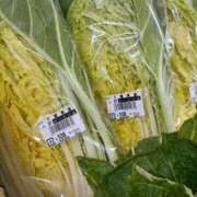 ヒメ日記 2024/12/10 21:45 投稿 あき コートダジュール