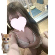 ヒメ日記 2025/07/03 12:31 投稿 ありす ドリーム水戸