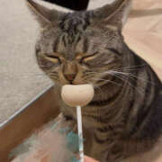 ヒメ日記 2025/10/07 19:01 投稿 ありす ドリーム水戸