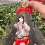 ヒメ日記 2026/02/15 20:20 投稿 ありす ドリーム水戸