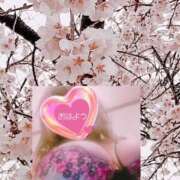 ヒメ日記 2025/04/04 08:00 投稿 稲村祐実 五十路マダム 郡山店