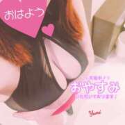 ヒメ日記 2025/04/09 08:00 投稿 稲村祐実 五十路マダム 郡山店