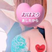 ヒメ日記 2026/04/16 08:08 投稿 稲村祐実 五十路マダム 郡山店