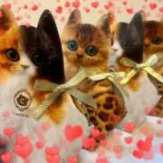 ヒメ日記 2025/02/13 17:03 投稿 里江 Arrest（アレスト）