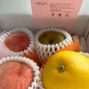 SANGO(さんご) 答え合わせ…🤫 UTAKATA