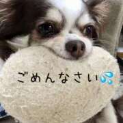 ヒメ日記 2026/01/16 08:23 投稿 秋月　りりこ 三丁目の奥様（東京ハレ系）