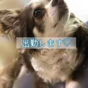 秋月　りりこ 出勤します︎🫶🏻💗 三丁目の奥様（東京ハレ系）