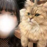 ヒメ日記 2025/08/20 19:22 投稿 さや 密着指導！バカンス学園 尼崎校