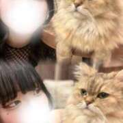 ヒメ日記 2026/04/15 16:03 投稿 さや 密着指導！バカンス学園 尼崎校