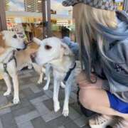 ヒメ日記 2025/04/29 21:50 投稿 加藤アキ 五十路マダム 仙台店