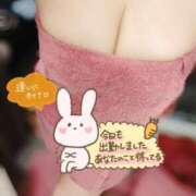 ヒメ日記 2026/01/12 09:30 投稿 みつり 横浜風俗　寝取られたいオンナ達…生