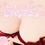 ヒメ日記 2025/12/06 07:45 投稿 れいな 横浜風俗　寝取られたいオンナ達…生