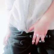 ヒメ日記 2024/12/14 00:09 投稿 みわ セレブクエスト-koshigaya-