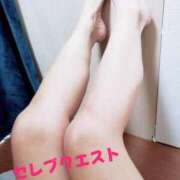 ヒメ日記 2024/12/18 12:07 投稿 みわ セレブクエスト-koshigaya-