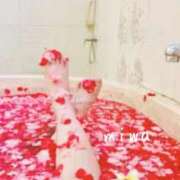 ヒメ日記 2025/02/21 11:17 投稿 みわ セレブクエスト-koshigaya-