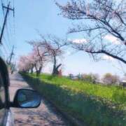 ヒメ日記 2025/04/04 11:48 投稿 みわ セレブクエスト-koshigaya-